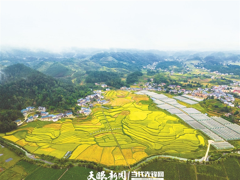 花茂村田園風光美如畫。 羅星漢 攝.jpg
