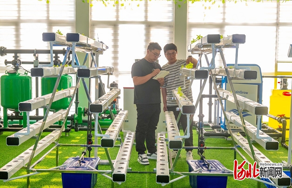 近日，在秦皇島小馬物聯(lián)網(wǎng)科技有限公司展廳，工作人員在商討如何進(jìn)行產(chǎn)品優(yōu)化。  河北日?qǐng)?bào)記者 趙杰攝.jpg